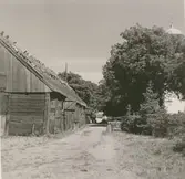 Ladugård med stråtak på Torslunda prästgård.