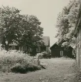 Byggningen och brygghuset.