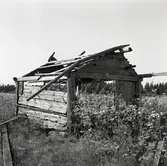 Förfallen sjöbod vid Kesnäsudden i Högby.