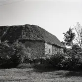 Ladugård i natursten och med stråtak på Hagelstad nr. 6.