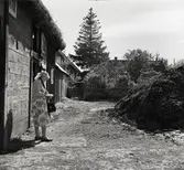 Kvinna vid ladugården på Arbelunda 3:3.