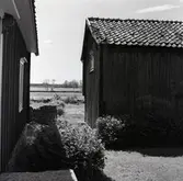 Tillbyggd enkelstuga från 1700-talet. Norra gaveln.