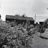 Från östra sidan av byggnaden.