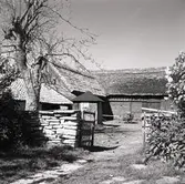 Ladugård i skiftesverk och med stråtak på gården Arbelunda 3:3.