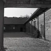 Från portöppningen mot ladugården.