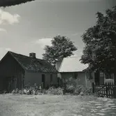 Boningshuset med brygghuset till vänster.