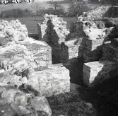 Borgruinen i Björnö, som är resterna av ett hus som Svante Bielke började bygga på 1600-talet.