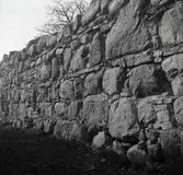 Borgruinen i Björnö, som är resterna av ett hus som Svante Bielke började bygga på 1600-talet.