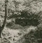 Ruin efter en medeltida befäst storgård, södra gaveln.