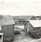 Gårdsplanen mot nordost. Gamla byggnaderna till vänster.