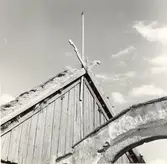 Takkråka på ett vagnsskjul på gården Södra Norrby 7:2.