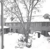 Bakgård i kv Åldermannen.