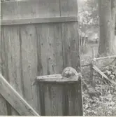 På garveri; detalj av låsanordning.