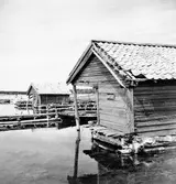 Bodar vid gamla, inre hamnen.