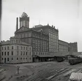 Ångkvarnen från hamnen.