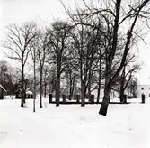 Rudgården i Långemåla.