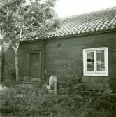 Gård i Stacketorp, Alböke.