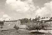 Gårdsmiljö på Vinö. Boningshuset, till vänster i bild, är en tvåvånings parstuga, tillika ryggåsstuga. Mellan det och ekonomibyggnaderna ser vi några fruktträd.
