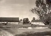 Ladugården på Värnanäs. Till vänster stallet, till höger magasinet. I förgrunden ankdammen.