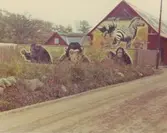 Motiv från Ölands Djurpark, Möllstorp, Algutsrum.