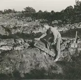 Ismantorps borg. Herr Bjeving i den husgrund där han fann 1500-talskniven.