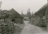 Bygata. Från sydost. Till vänster stall och i fonden hönshus. Till höger ladugårdslängor. Stallet äges av K.Johansson, övriga hus av Hulda Svensson i Oskarshamn med David Pettersson som brukare.
Ägare: Hulda Svensson och Karl Johansson.
