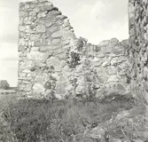 Motiv från Kronobäcks klosterruin.