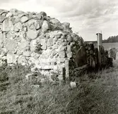 Motiv från Kronobäcks klosterruin.