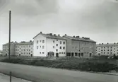 Riksbyggen, bostäder i Kalmar. 14 september 1951.