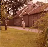 Krusenstiernska trädgården.