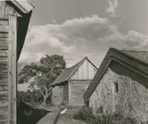 Motiv från en gård på Runnö. Stall i bakgrunden, källare i förgrunden.