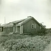 Albert Magnussons gammelstuga.