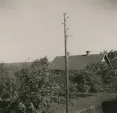 Fastighet i Långeruda.