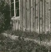 Detalj av mullbänken till stugan på soldattorpet.