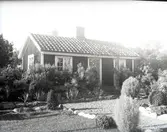 Motiv från Widebergs trädgård