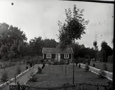 En stuga i Widebergs trädgård.