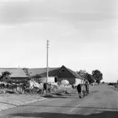 Bygatan (landsvägen) mot syd.