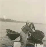 Kustfiske vid Böda.