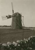 En holländsk väderkvarn strax vid Glabo. Helt inbyggd med brädor.