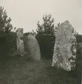 Resta stenar vid Övetorp.
