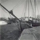 Fören på Anna av Saltvik. Skonert byggd 1854 i Marstal. Ex Brödernes Minde. Foto i Kalmar hamn 1951.