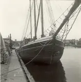Solana. M/s av Kalmar. Fotograferad 1954 i Oskarshamns hamn.