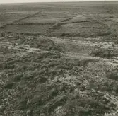 Markparti vid vägen mot Resmo.