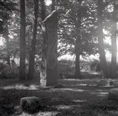 Fredsstenen vid Brömsebro, rest 1915 mitt på holmen i Brömsebäck.