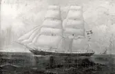 Briggen Alfred af Kalmar, oljemålning på duk signerad H. Chapell omkring 1890 (50x72 cm).