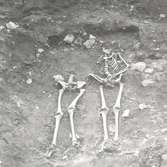 Skelett, foto från NO.
Foto:Gunnel Forsberg oktober 1965.