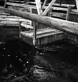 Laxgård, ett fast fångstredskap som användes för laxfiske.