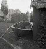 Storöka (med köl?).