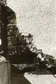Hälleberga kyrka: Kyrkan brann ner 1976-10-18. Branden orsakades av ett elfel.
Detalj av timmervägg och puts efter branden.