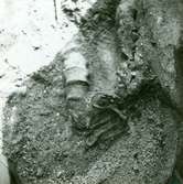 Ryggrad från en människa  med bronskedja med nålhus och rest av en  sax.